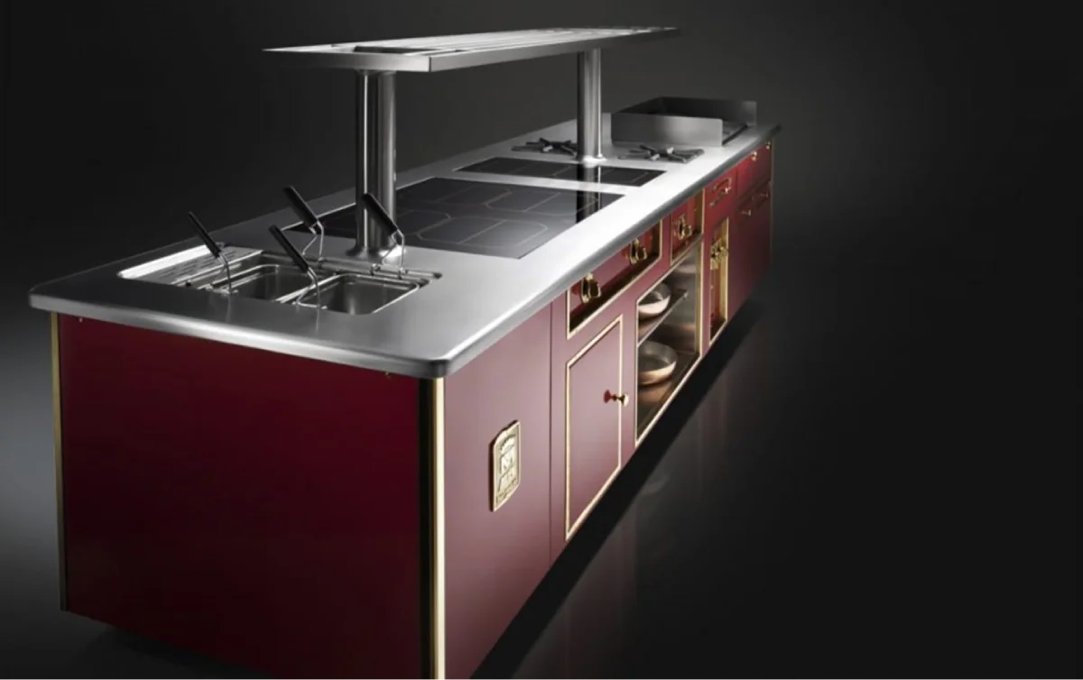 Cocina profesional 1