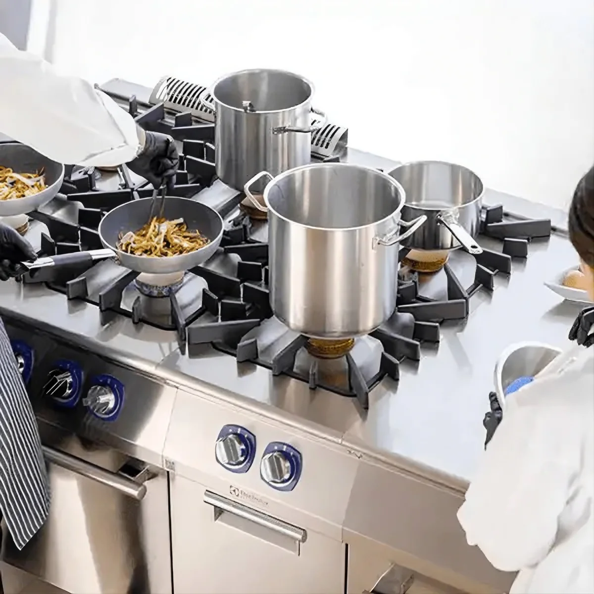 Cocina profesional 10